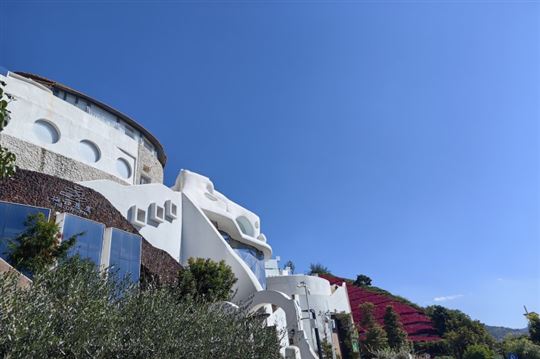 技术赋能·品类升级 共筑奶酪产业新生态——2026奶酪技术与市场发展论坛举办