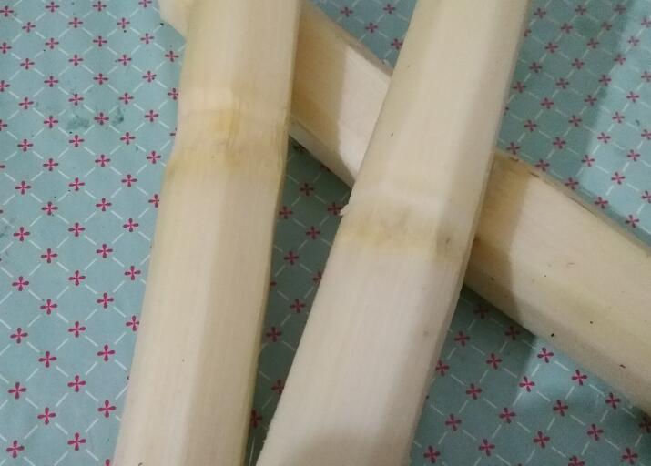 广东省食品安全学会关于征求《果蔗汁》团体标准意见的通知