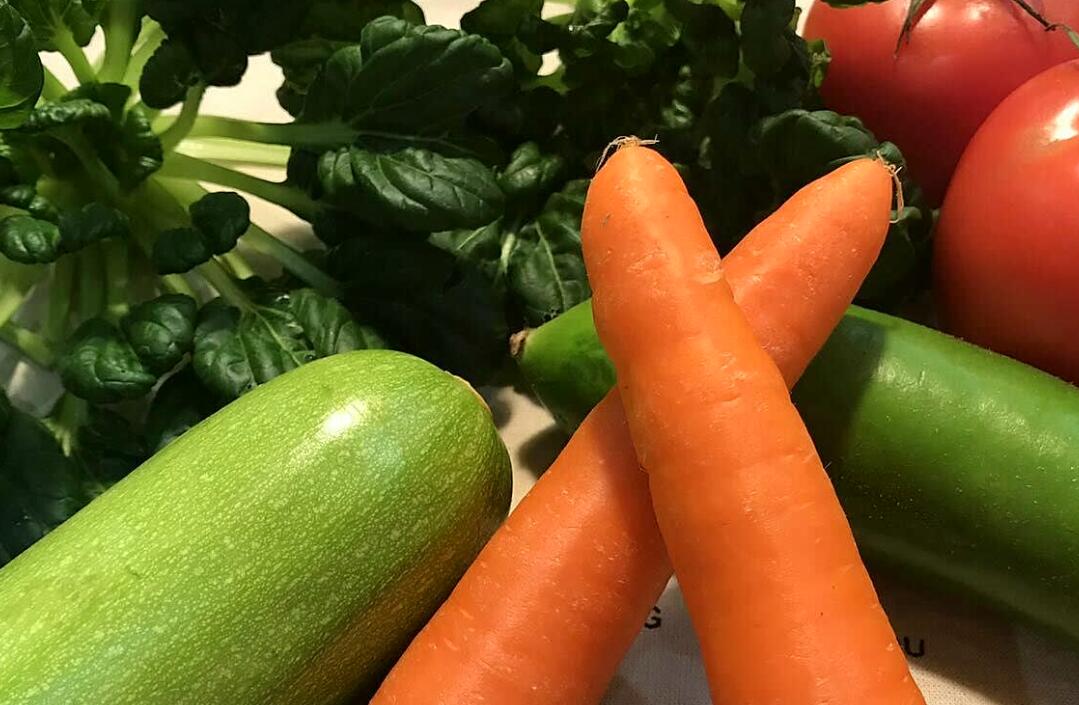 重庆市支持食品及农产品加工产业高质量发展新十条政策